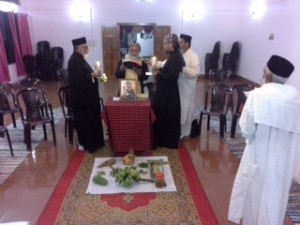 photo 3 (1)