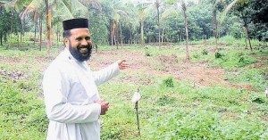 fr_mathews